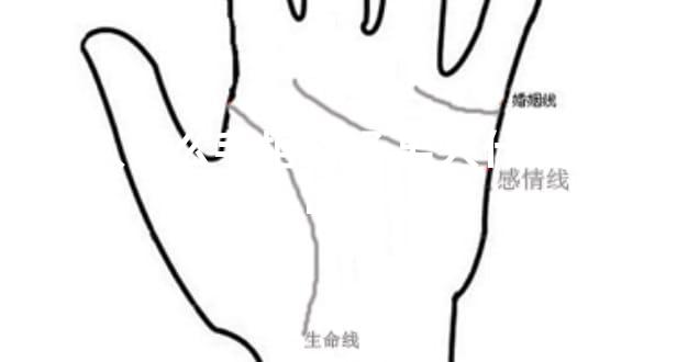 男人什么手相较好 男人什么手相命长